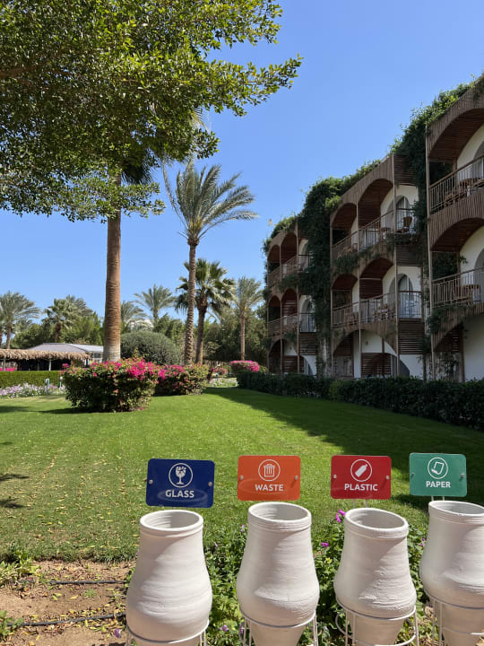 Gartenanlage Desert Rose