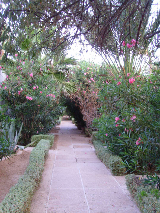 Weg zum Strand Hotel Sangho Club Zarzis