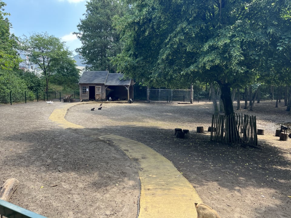 Sport & Freizeit Sunparks Kempense Meren