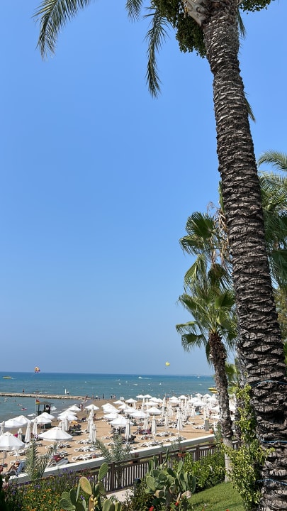 Ausblick PALOMA Perissia