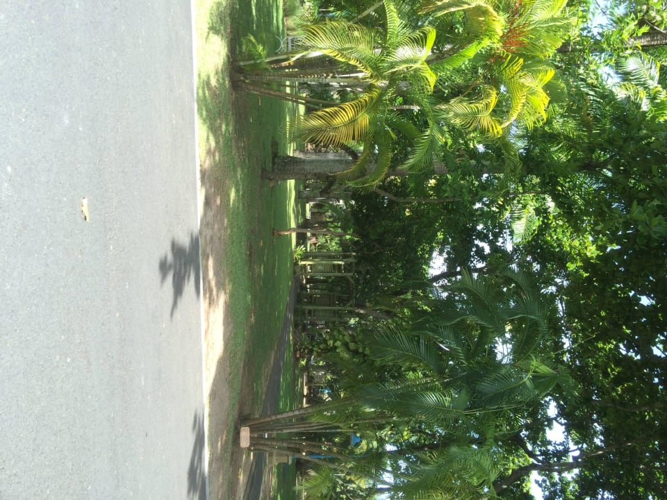 Eingang Shandrani Beachcomber Resort & Spa