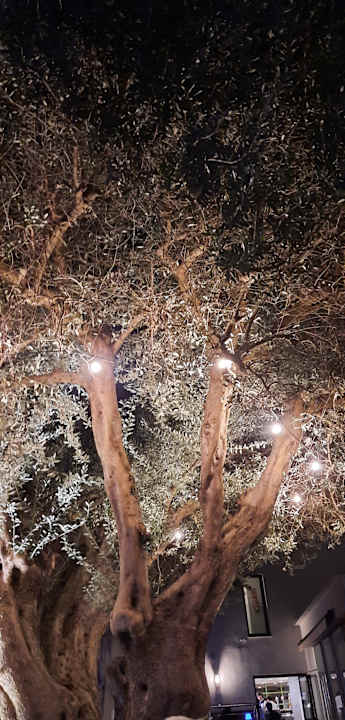 Gastro allsun Hotel Eden Alcudia