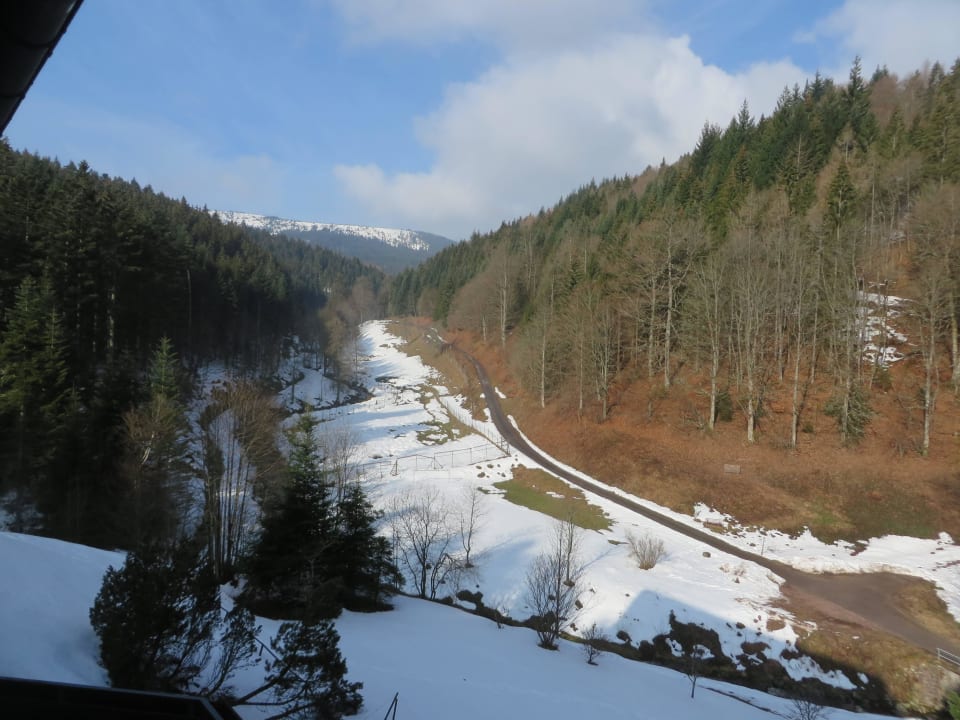 Wellnesshotel Forsthaus Auerhahn Wellnesshotel Forsthaus Auerhahn