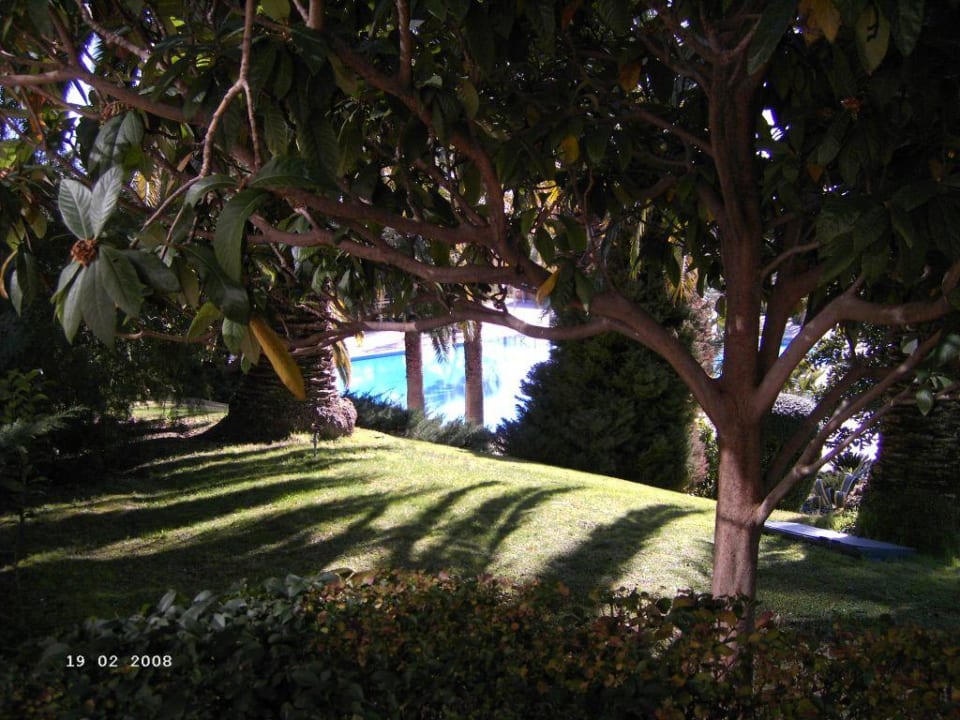 Park Side Star Elegance