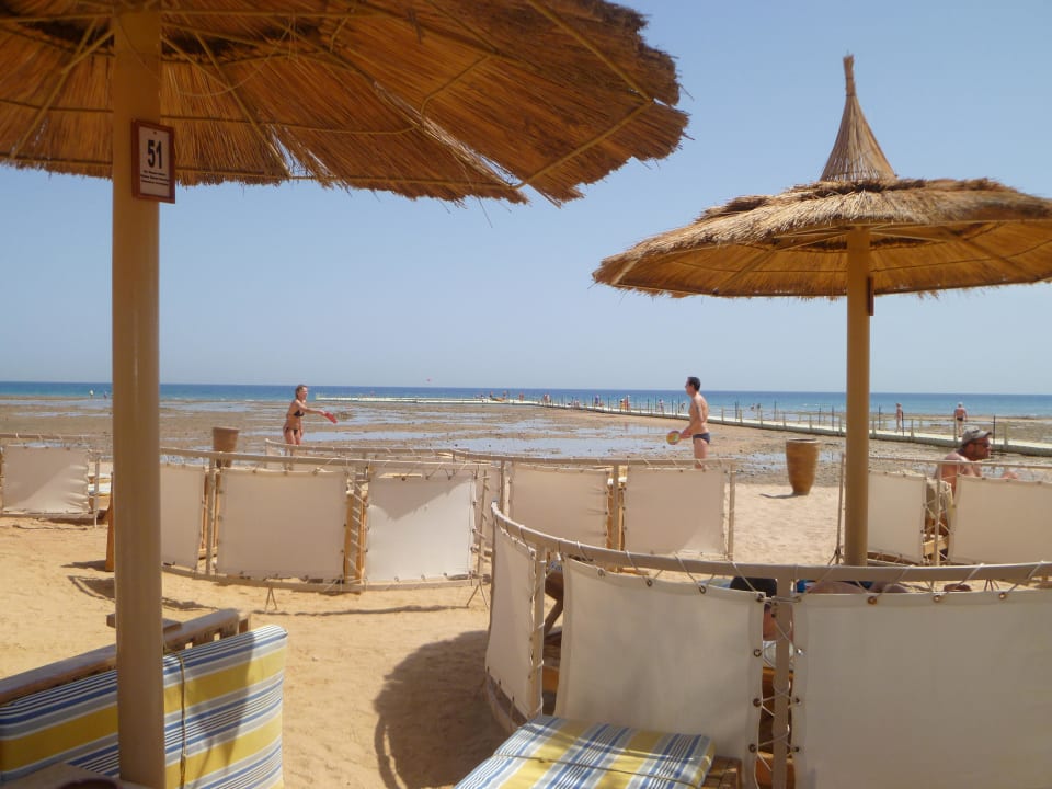 Der Hotelstrand bei Ebbe Pickalbatros Palace Resort