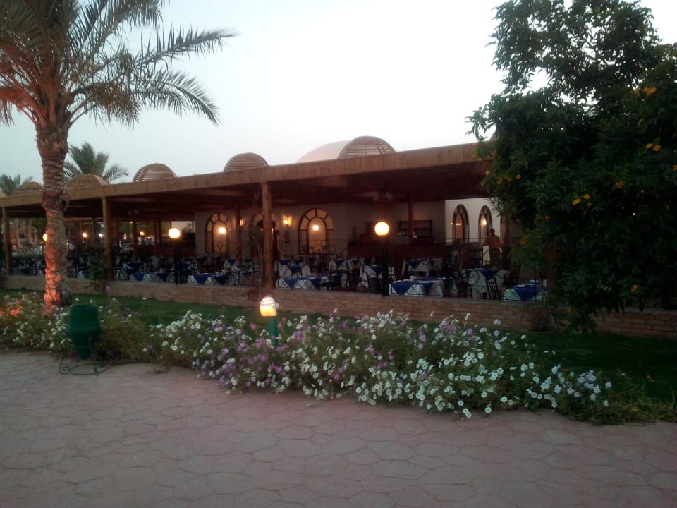 Restaurant Desert Rose