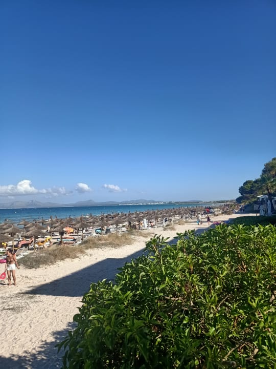 Strand Las Gaviotas Suites Hotel