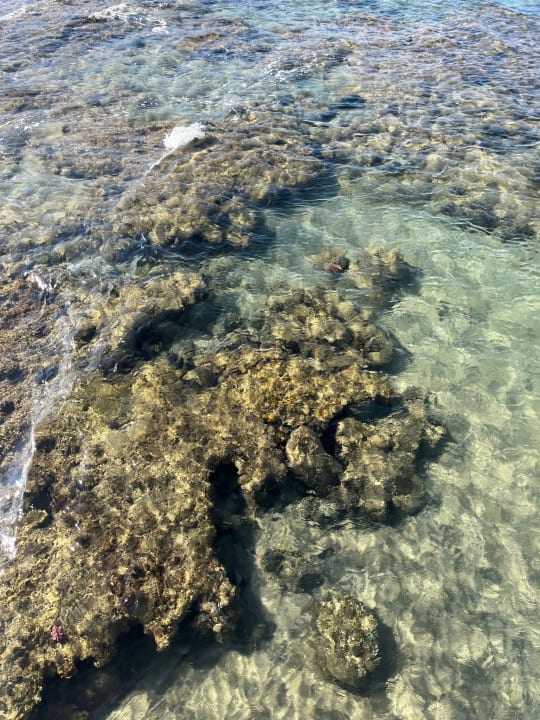Strand Pickalbatros Palace Resort