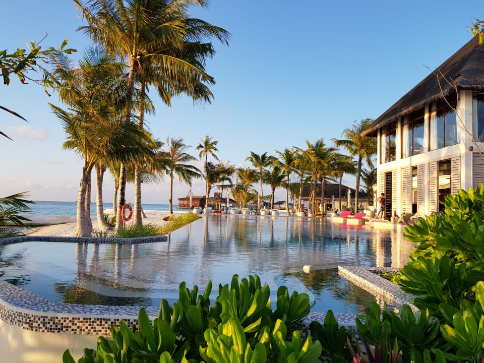 Main Bar mit Pool  OZEN LIFE MAADHOO