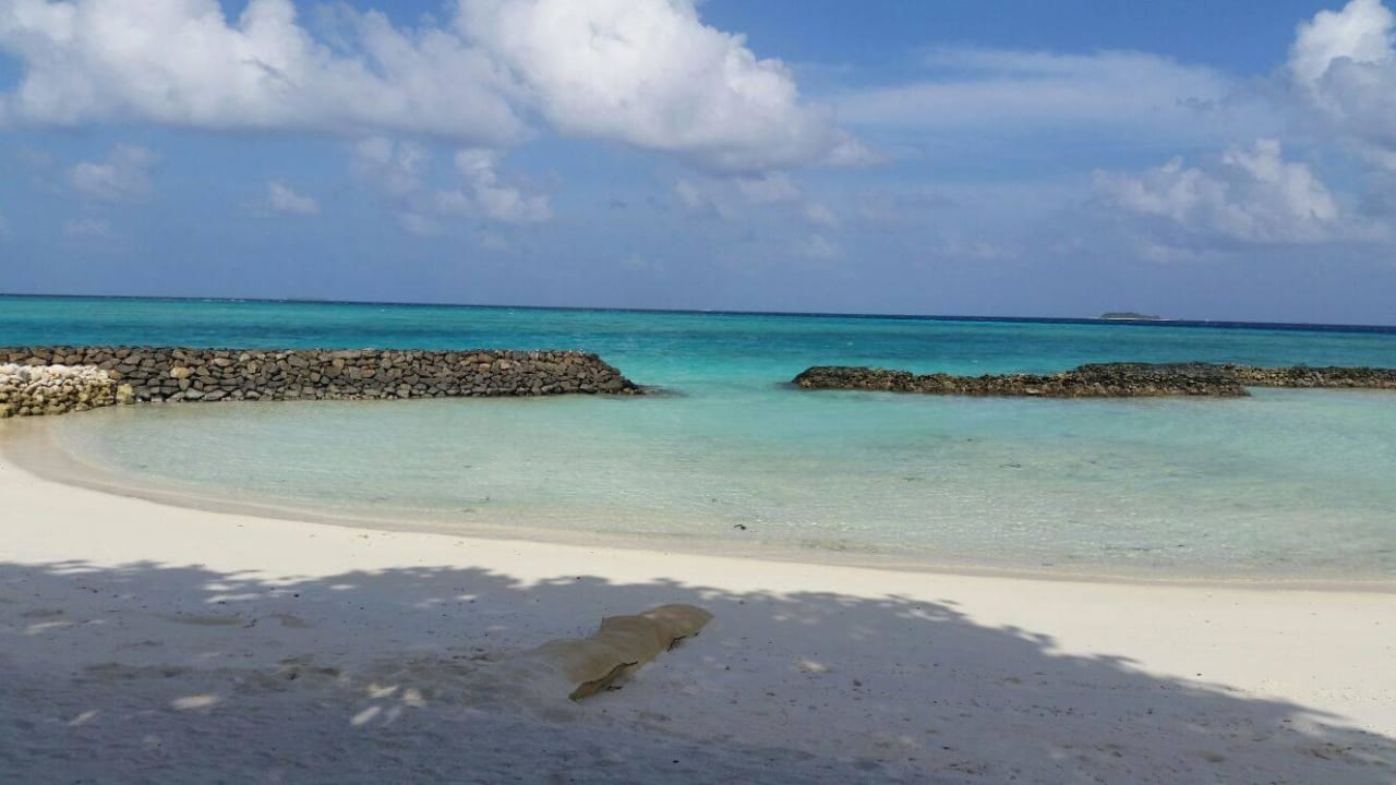 Der wundervolle Strand  Summer Island Maldives