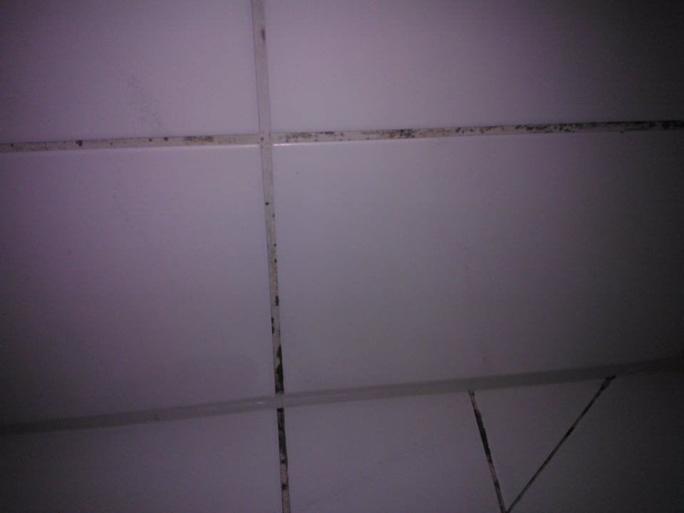 Schwarzer Schimmel Hotel Baslertor