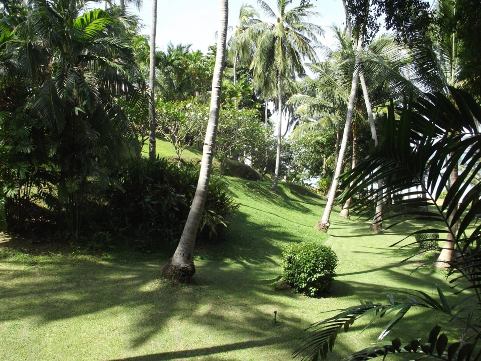 Die gepflegte Gartenanlage  Cape Panwa Hotel