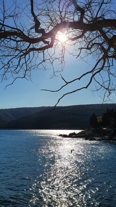 Ausblick Valamar Sanfior Hotel & Casa