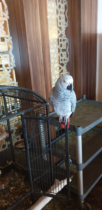 Sonstiges Hotel Kleopatra Ada Beach