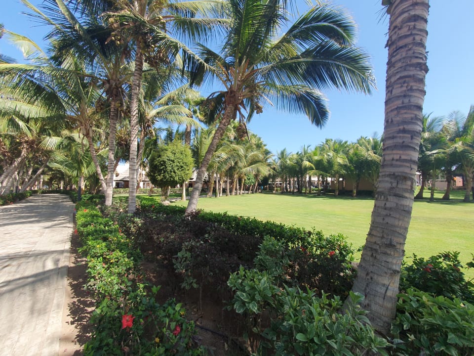 Gartenanlage Hotel Riu Cabo Verde