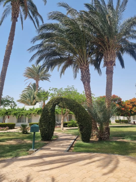 Gartenanlage Shams Safaga Resort