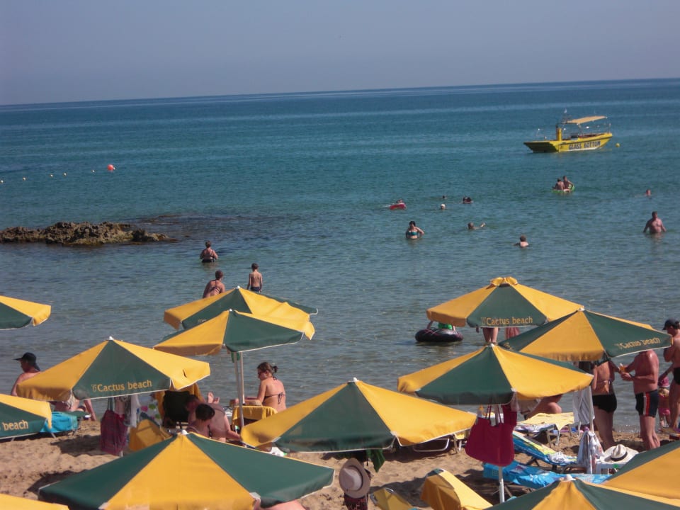 Strand  Cactus Beach