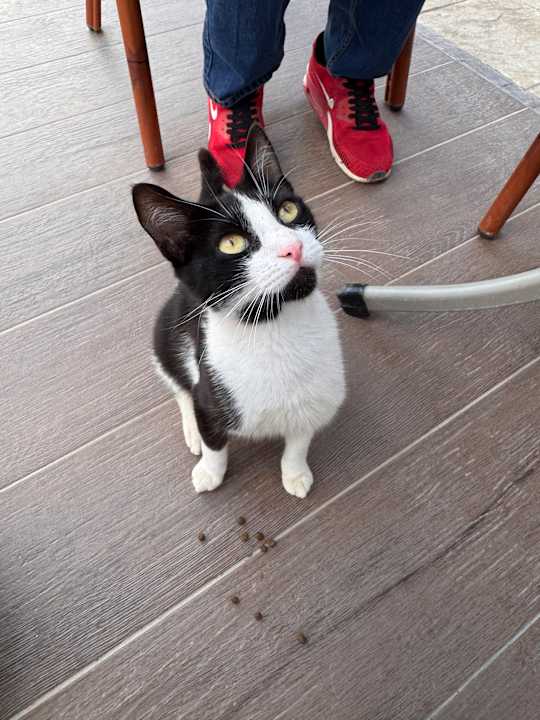 Sonstiges Delfina Tropic Beach