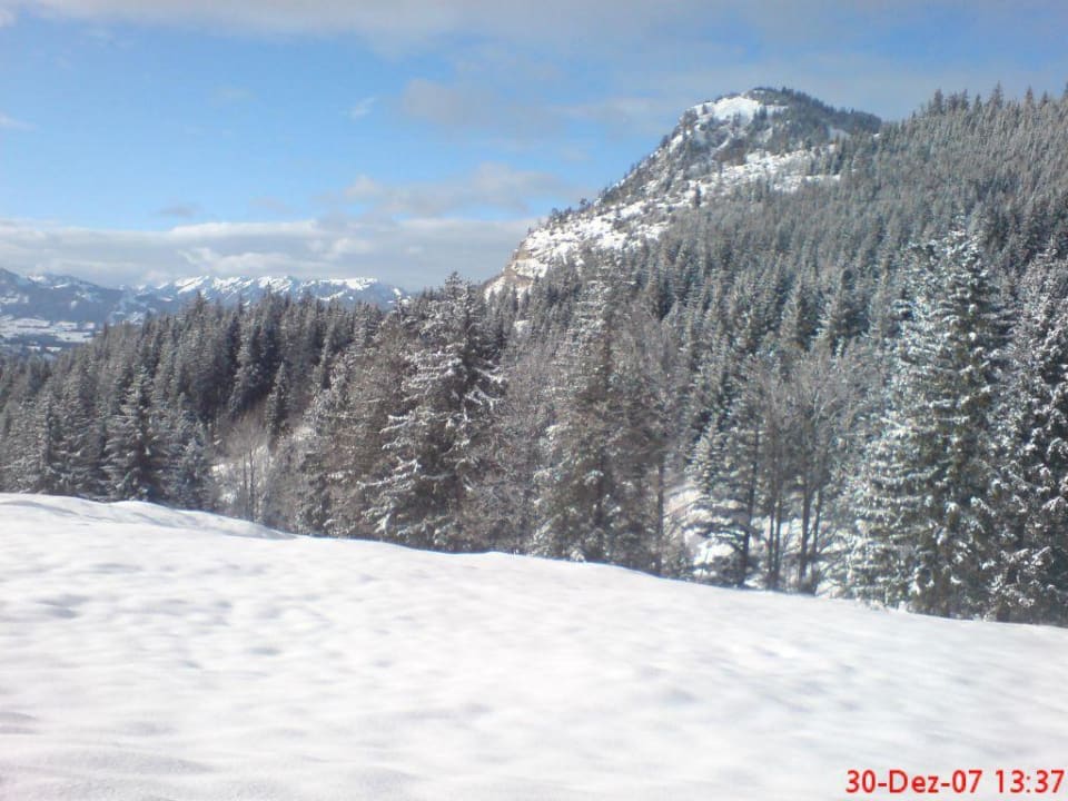 Winterwalt in Hindelang DIE GAMS Hotel - Restaurant