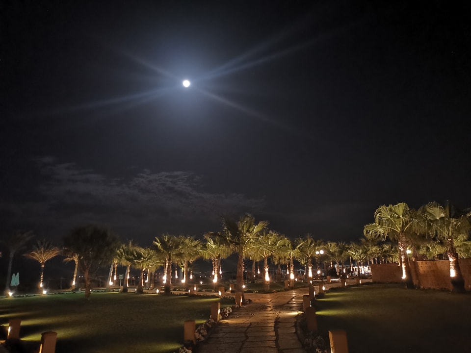 Gartenanlage Casa Mare Resort