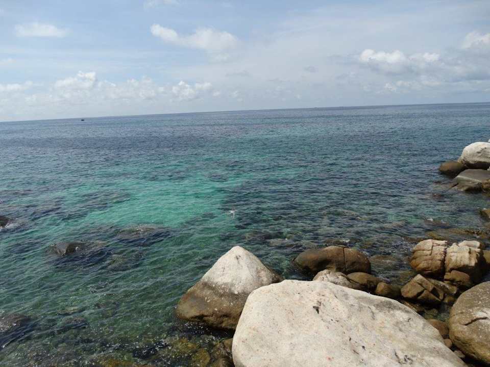 Ausblick vom Zimmer BB1 zum Hausriff Koh Tao Bamboo Huts