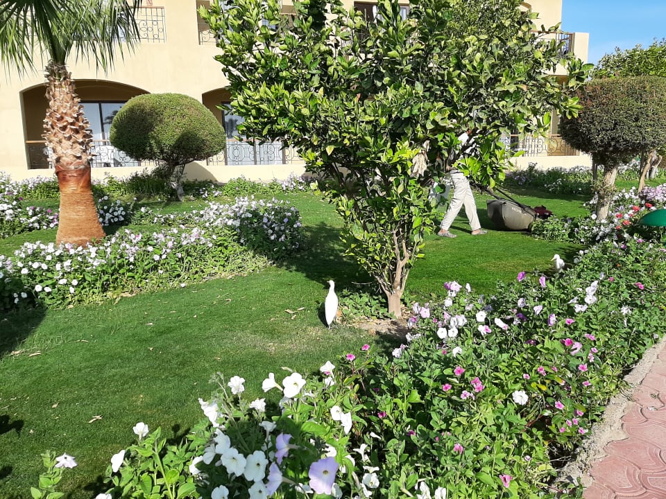 Garten Three Corners Fayrouz Plaza Beach Resort