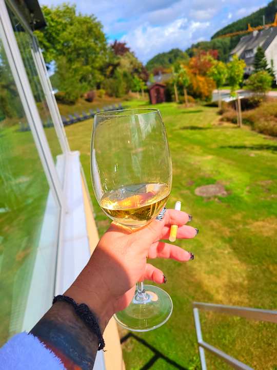 Pool Hotel Hochsauerland 2010