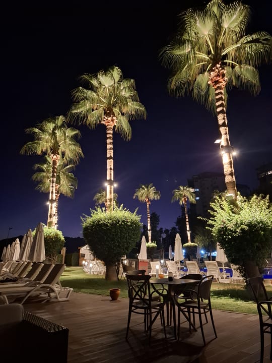 Pool Falcon Hotel