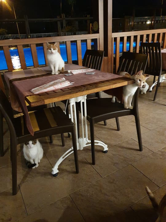 Gastro Side Alegria Hotel & Spa - Adults only +16