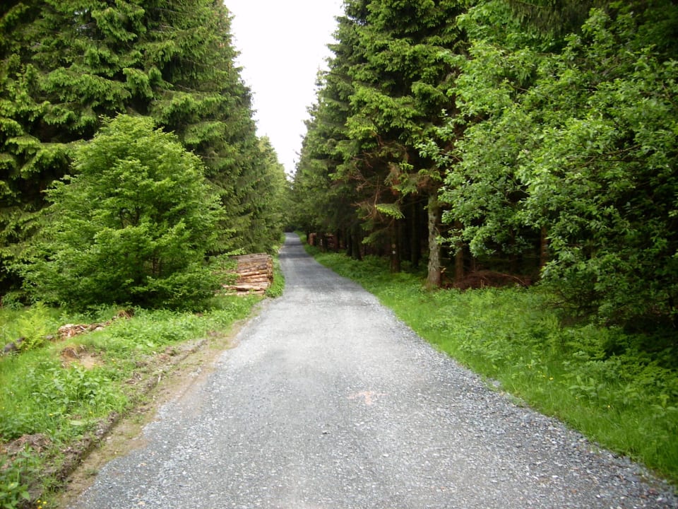 Wanderwege am Hotel Der schöne Asten - Resort Winterberg