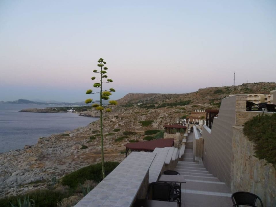 Entlang der Poolanlage in Richtung Strand Hotel Kalithea Horizon Royal