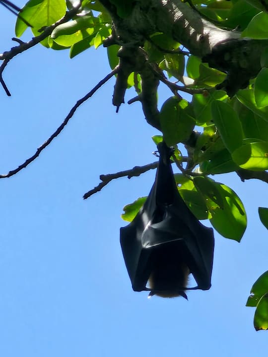 Sonstiges Meeru Maldives Resort Island