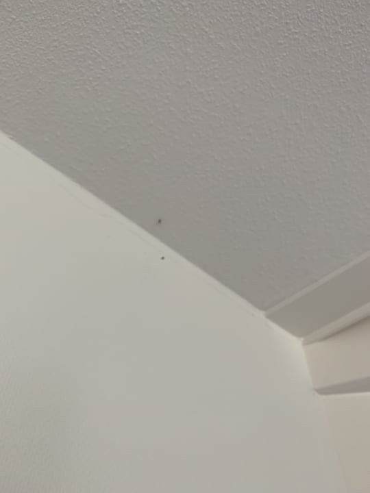 Zimmer Roompot Marinapark Volendam