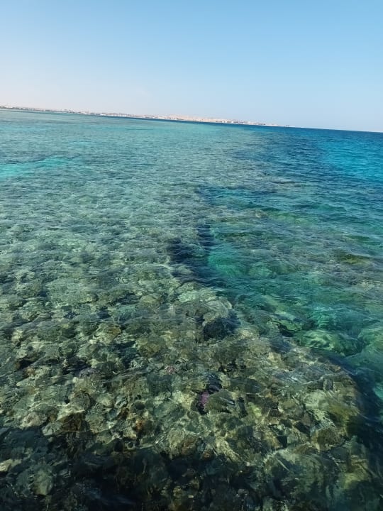 Strand Makadi Spa - Adults only