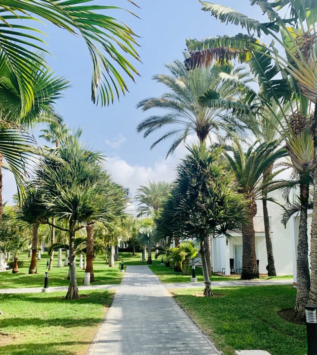 Gartenanlage Hotel Riu Palace Meloneras