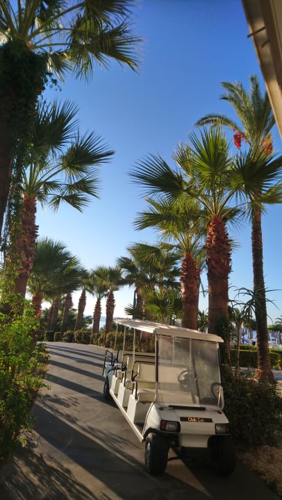 Gartenanlage Rodos Princess Beach Hotel & Spa