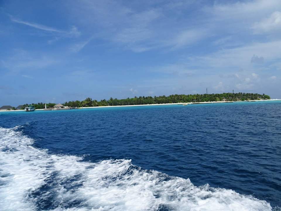 Blick auf die Insel Summer Island Maldives