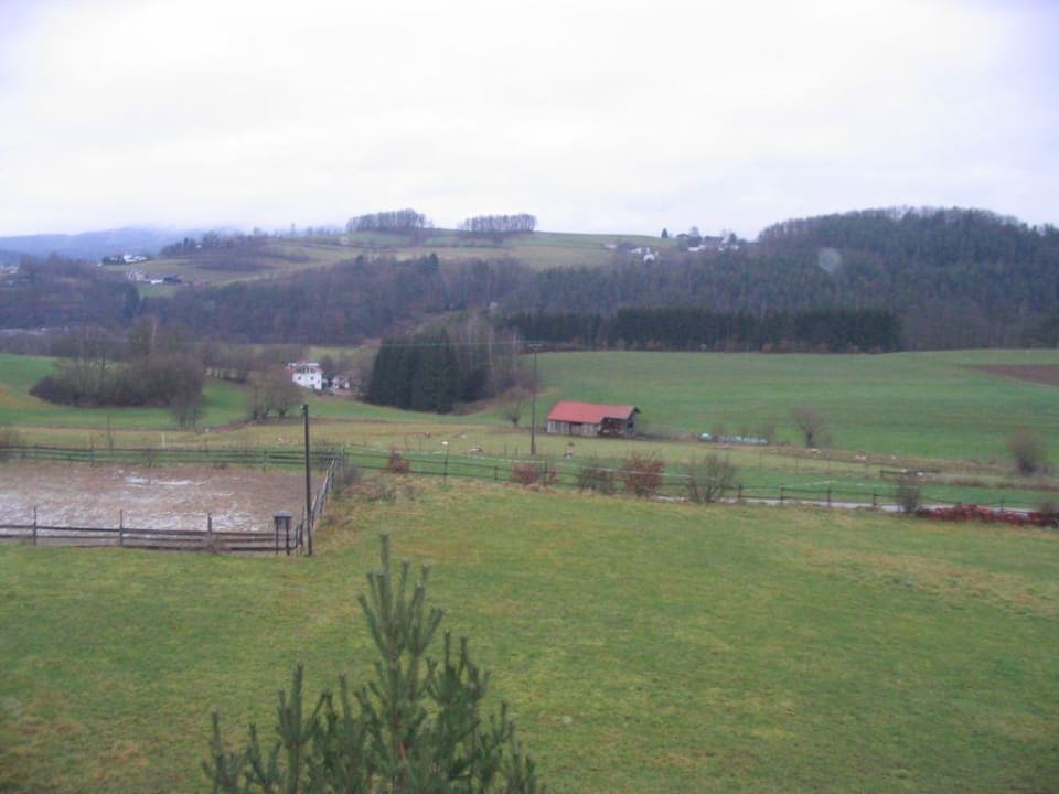 Ausblick vom Schlafzimmerfenster Feriendorf Schwarzholz
