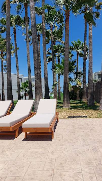 Pool Delfina Tropic Beach