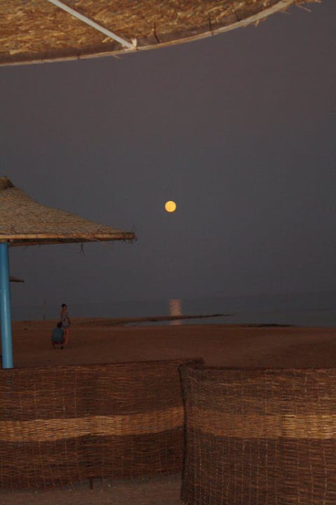 Strand bei Vollmond Shams Prestige Abu Soma-Adults Only