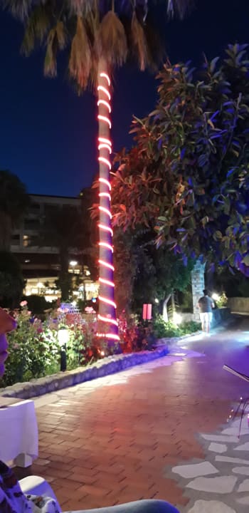 Gartenanlage Hotel Defne Garden