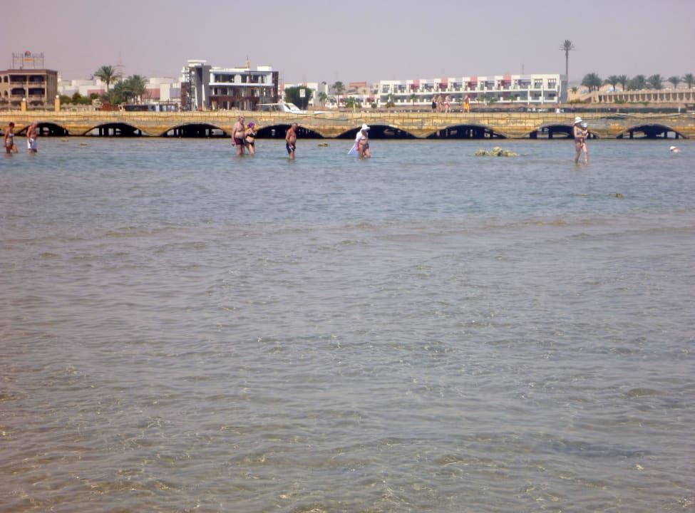 Ebbe Pickalbatros Dana Beach Resort - Hurghada