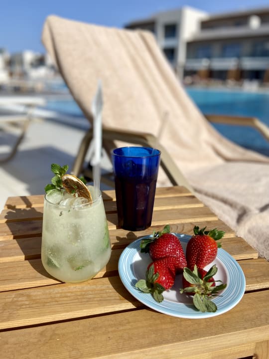 Gastro JAZ Elite Amara