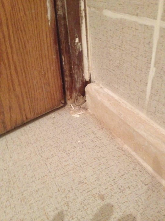 Renovierung !? Riviera Aqua Park Resort