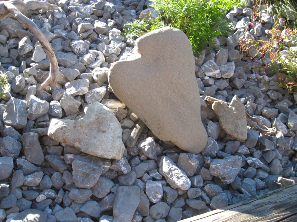 Unverwüstlich/Herz aus Stein/im Steingarten Pension & Ferienwohnung Solaria