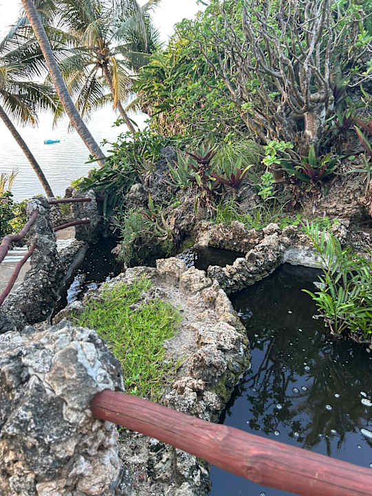 Gartenanlage Bahari Beach Hotel