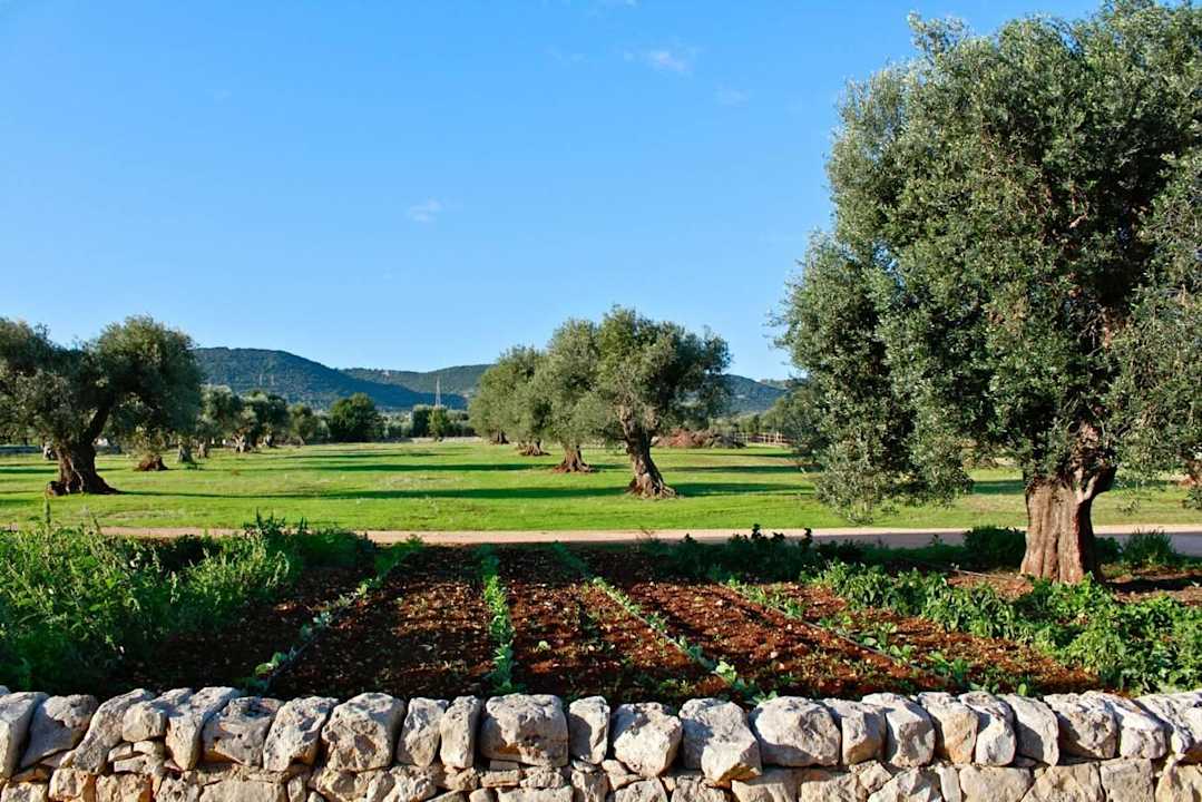 Orto biologico Agriturismo Masseria Salamina
