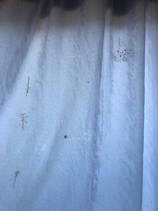 Zimmer Jardin Mariposa Retreat- und Seminarzentrum