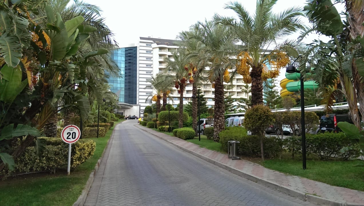 Hotel Zufahrt Royal Wings Hotel