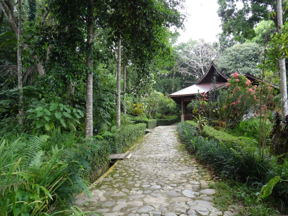Gartenanlage Ecolodge Bukit Lawang